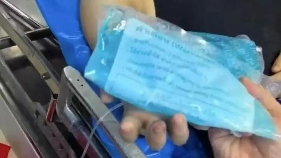 男友被毒蛇咬伤 女子第一时间拍照