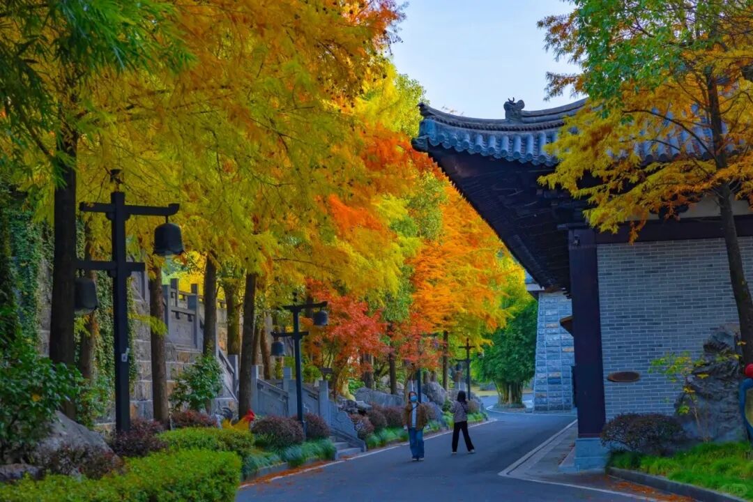 秋的韵致开始在根宫沉淀_1_根宫佛国文化旅游区_来自小红书网页版_副本.jpg