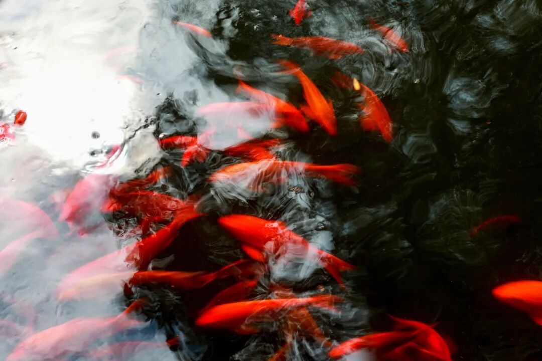 3B2A8960 拷贝_副本.jpg