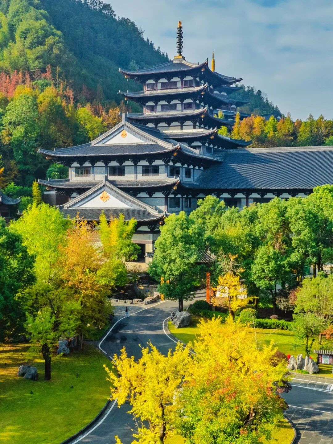 2024-11-12 085048.jpg