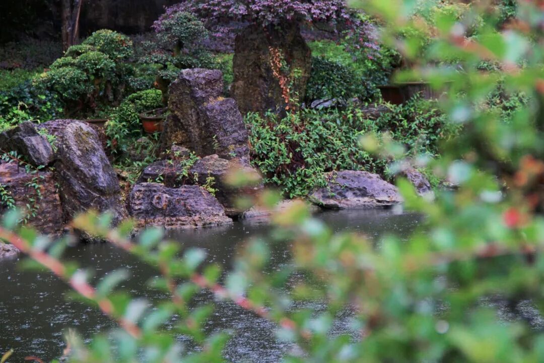 照片 245_副本.jpg