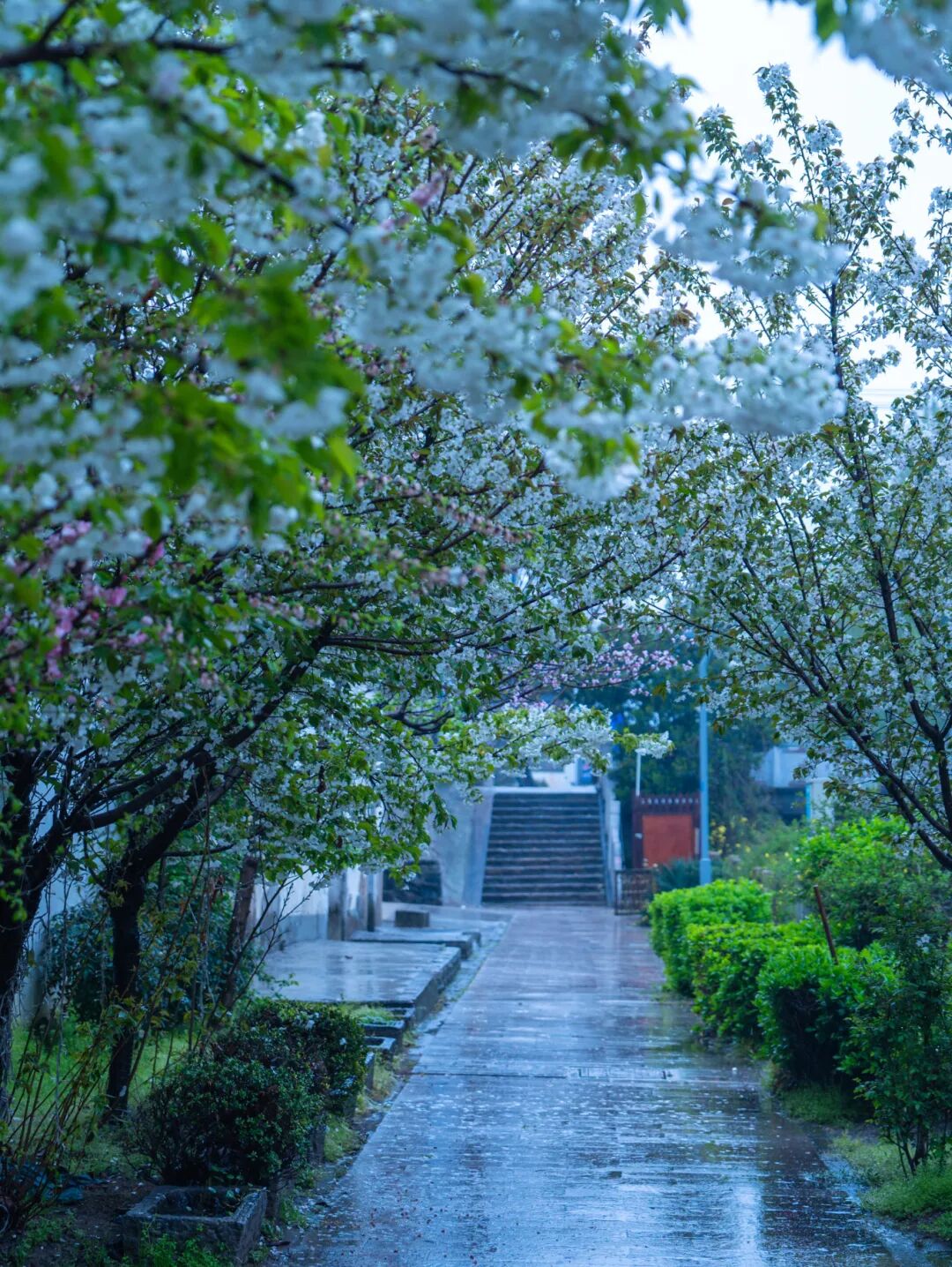小秦淮河春雨绵绵 刘江瑞 摄 (32).jpg