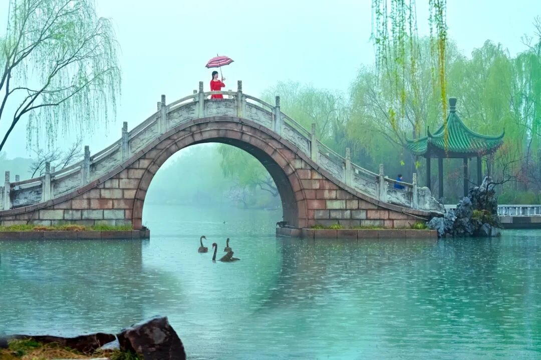 王杰.jpg