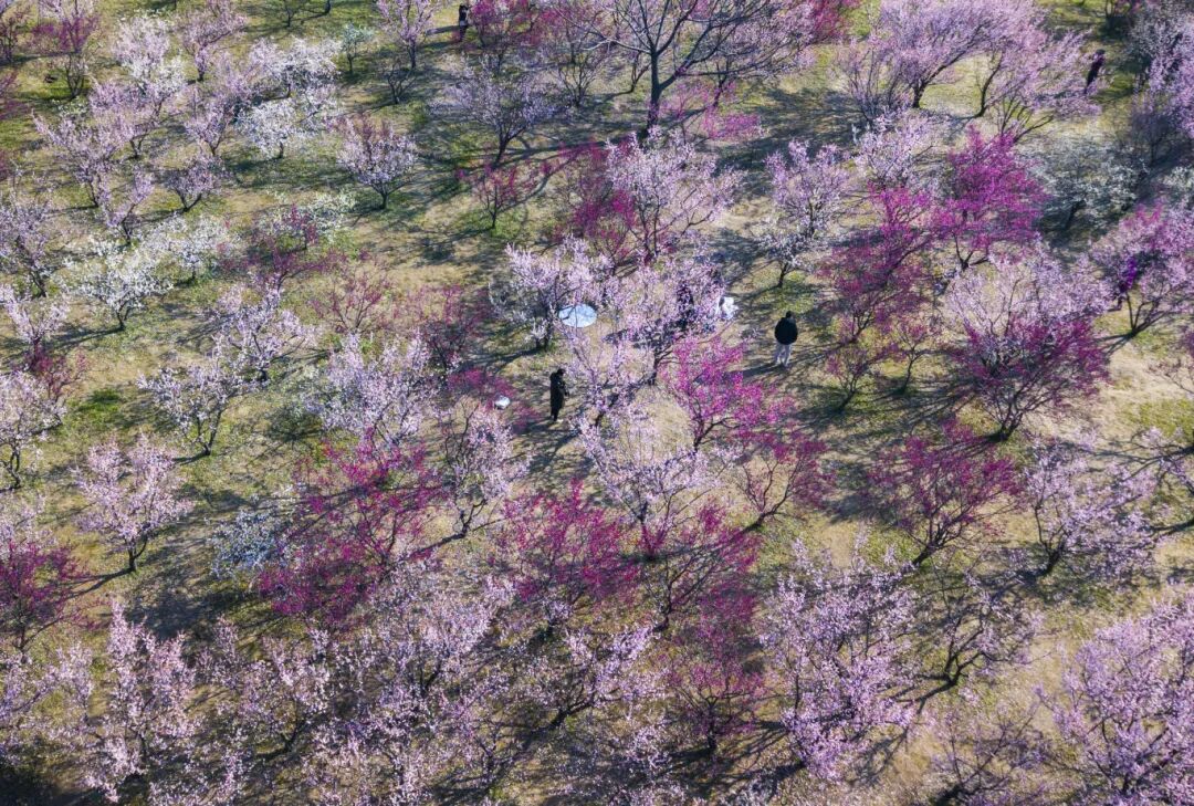 DJI_0023.jpg