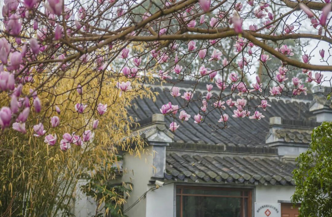 瘦西湖 刘江瑞 摄 (12).jpg
