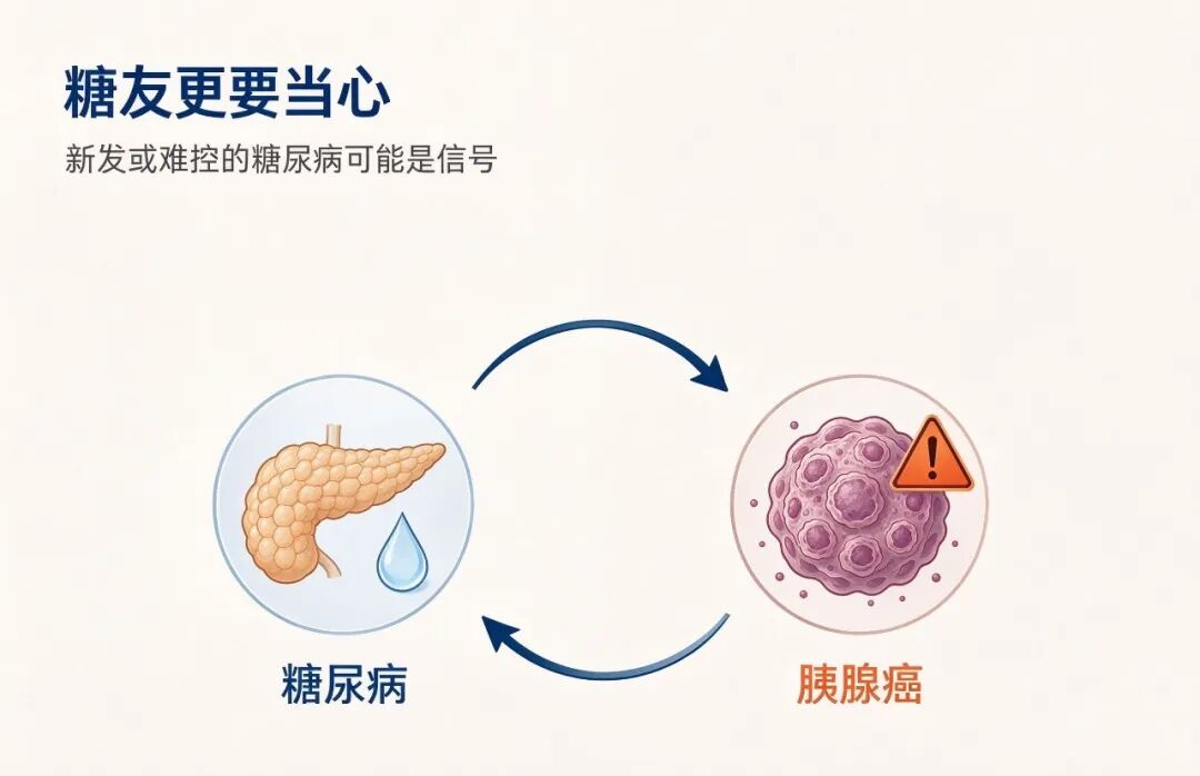 新对话 (5).jpeg