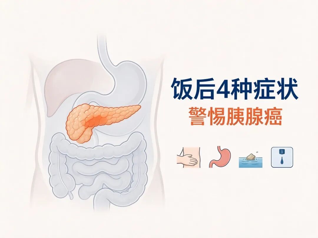 新对话.jpeg