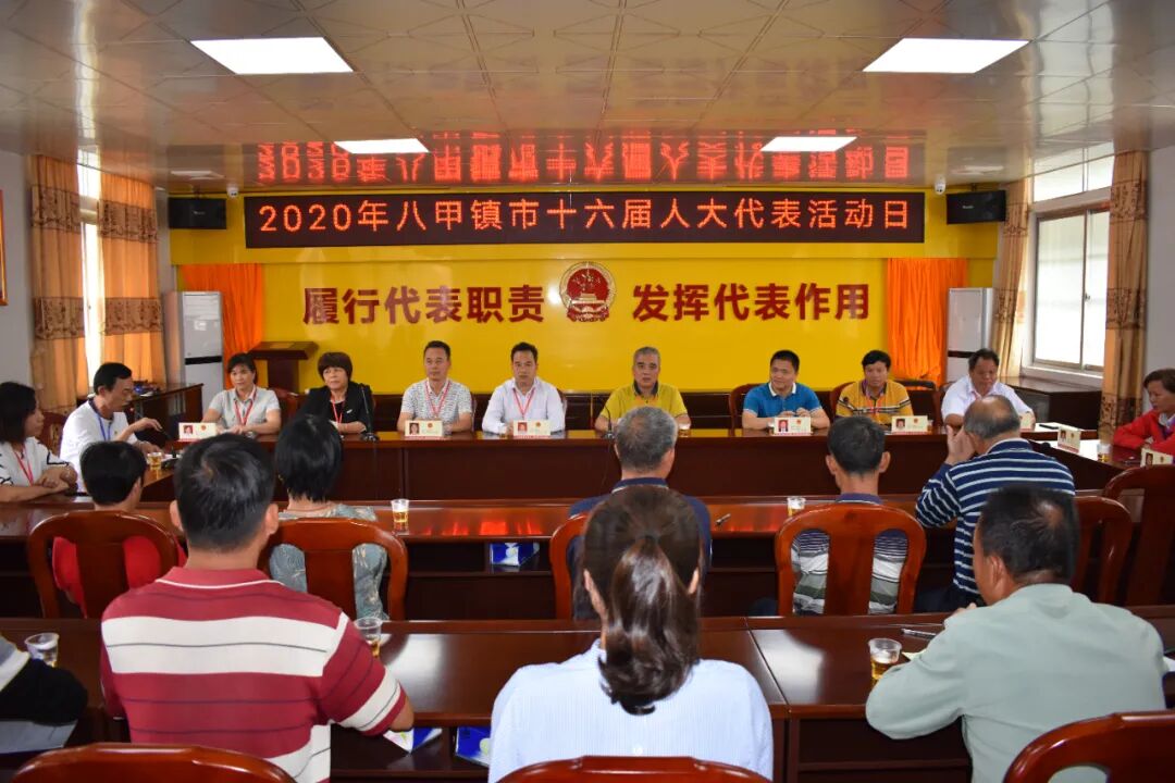 八甲镇开展阳春市人大代表活动日活动
