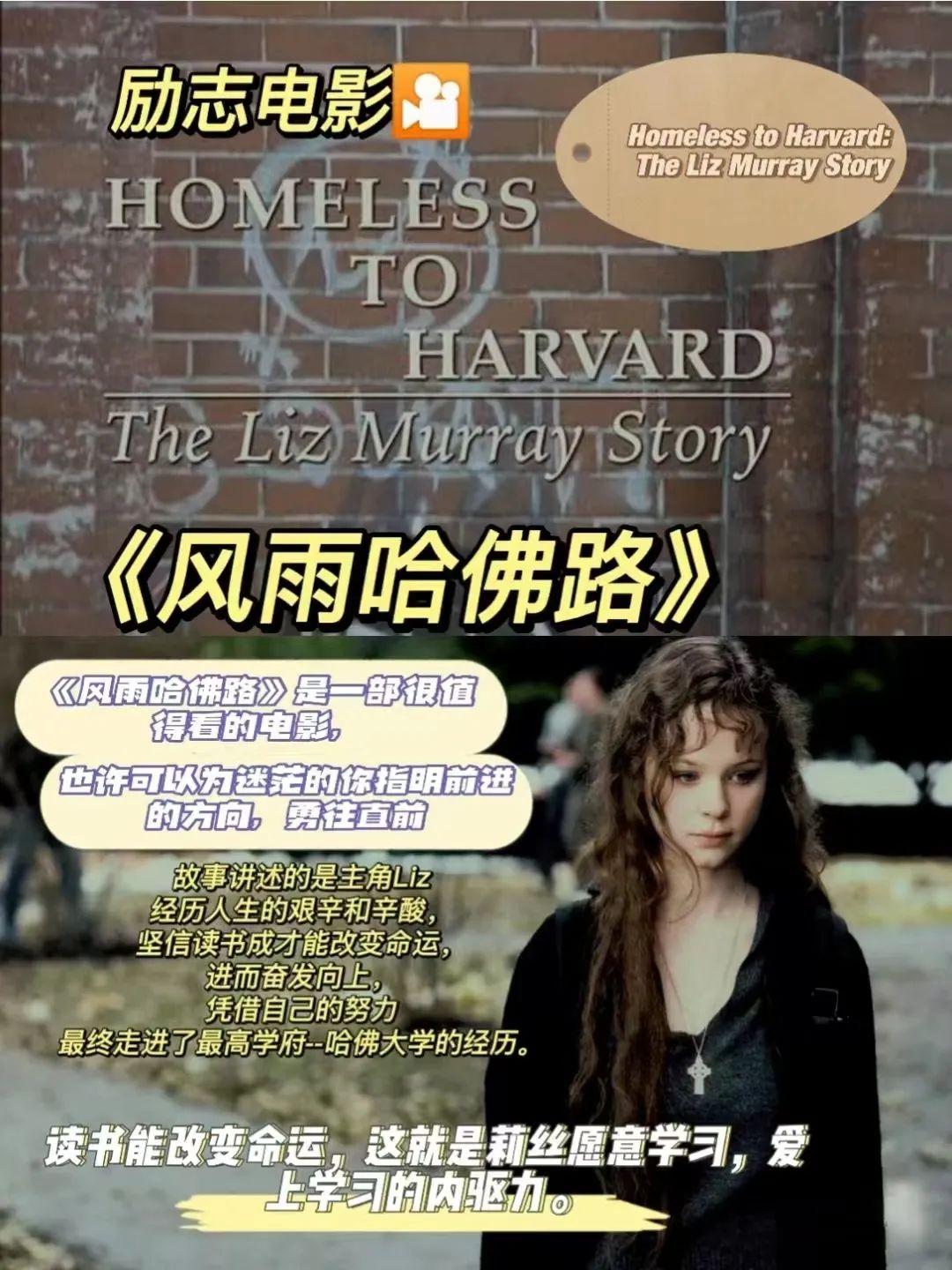 影视鉴赏｜电影《风雨哈佛路》