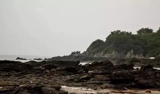 东南亚海岛旅游攻略_海岛大亨4旅游攻略_大连海岛旅游攻略