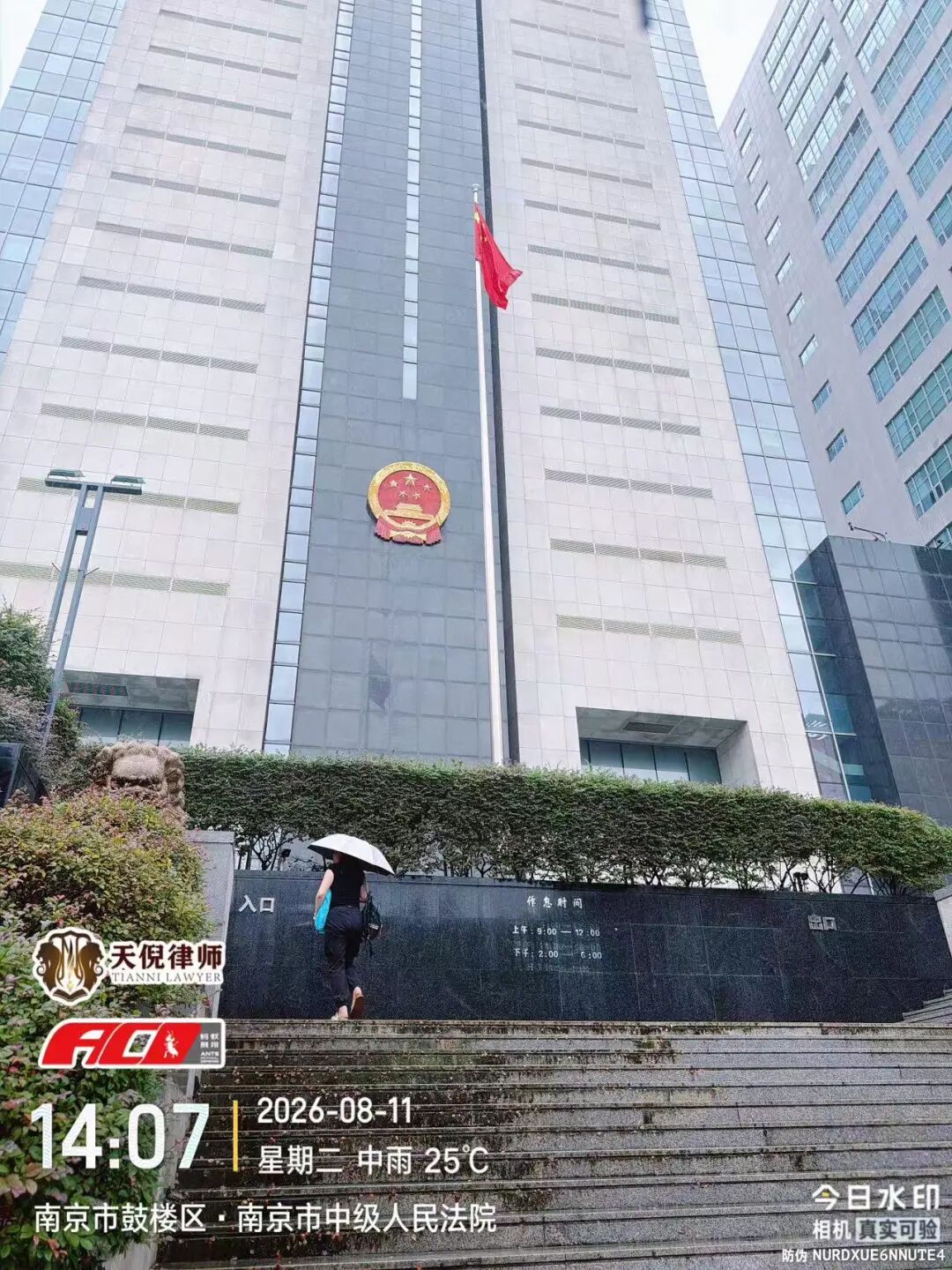 奔跑的蚂蚁｜2026年 第二十五周：笃行实务深耕案卷，奔走履职守护权益