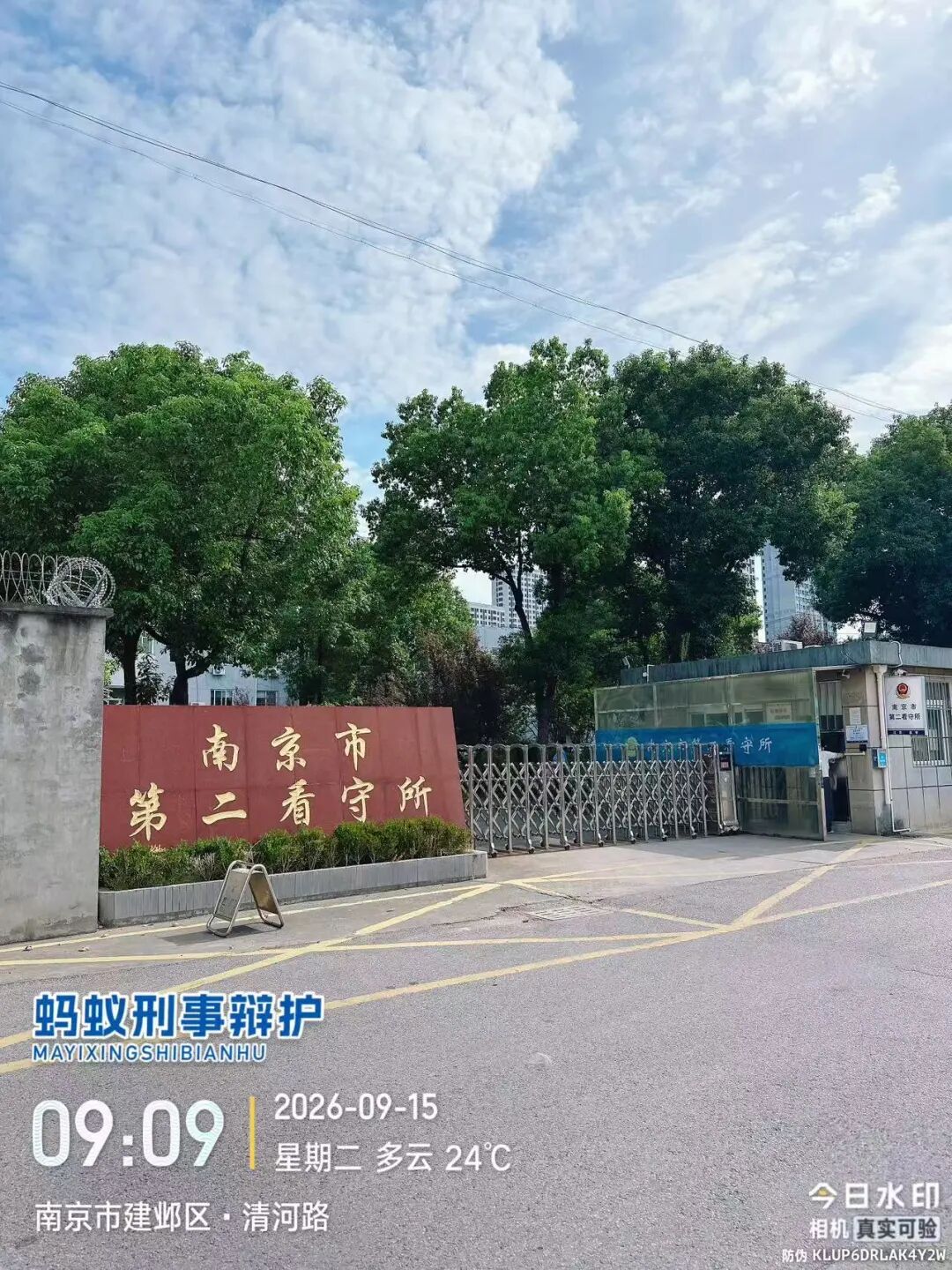 奔跑的蚂蚁 | 2026年 第三十周：奔赴多地办案磋商，精研文书打磨案件方案