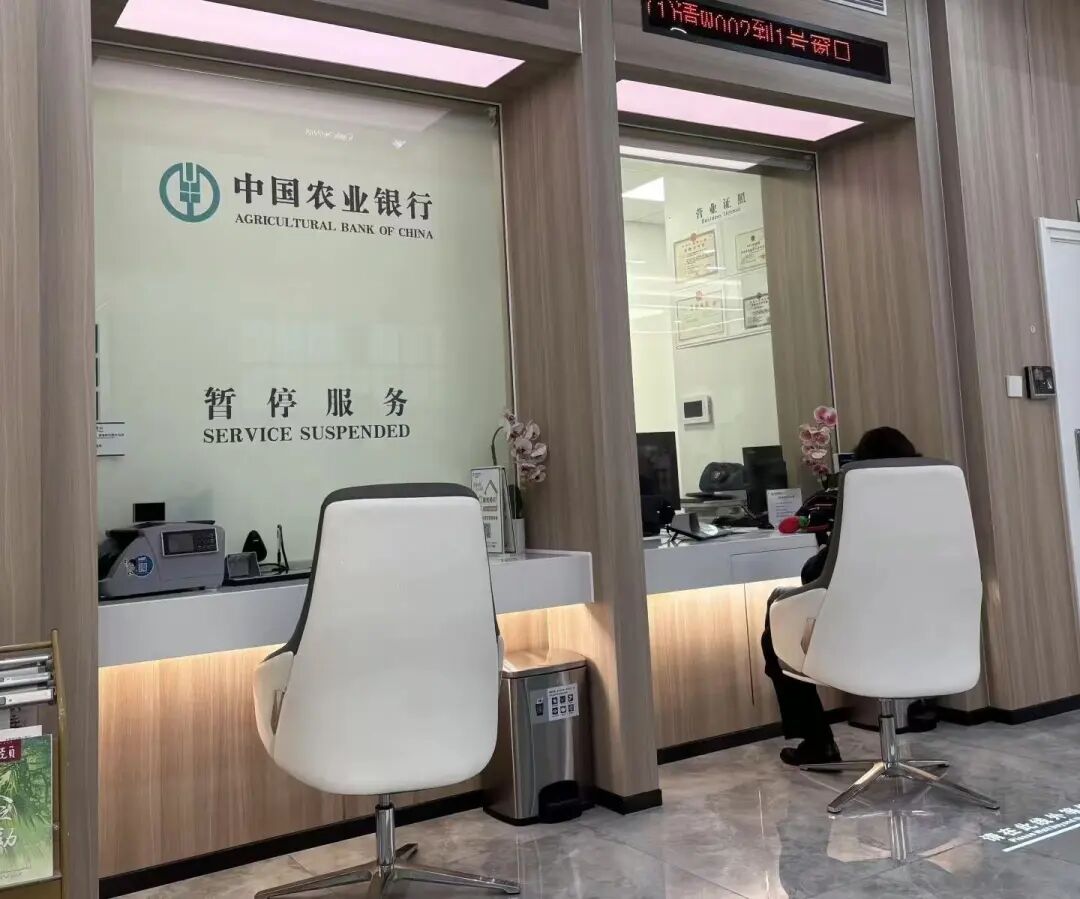 奔跑的蚂蚁｜2026年 第七周：实干赴初心，专业护公正