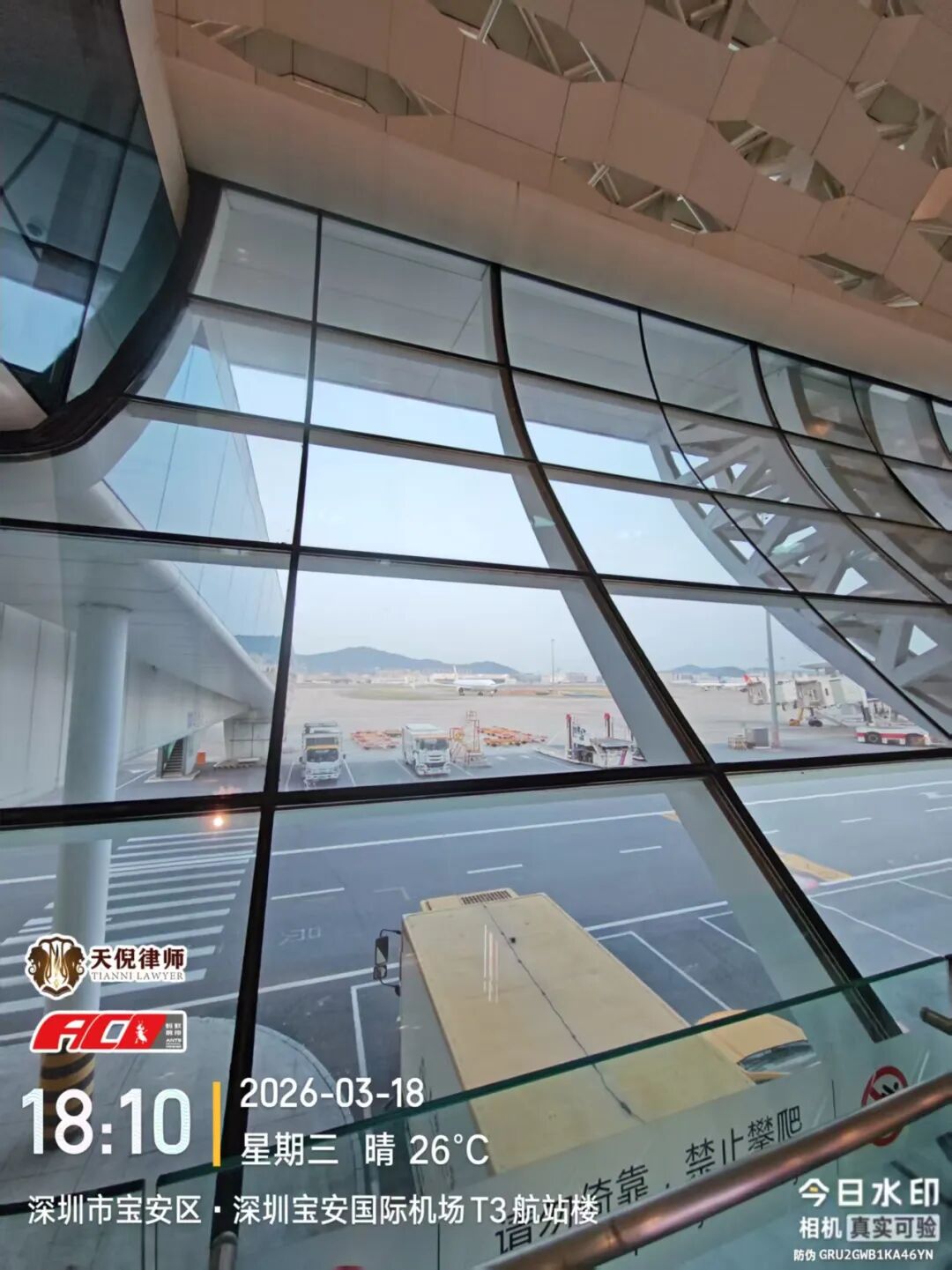 奔跑的蚂蚁｜2026年 第四周：笃行不止步，奋进启新程