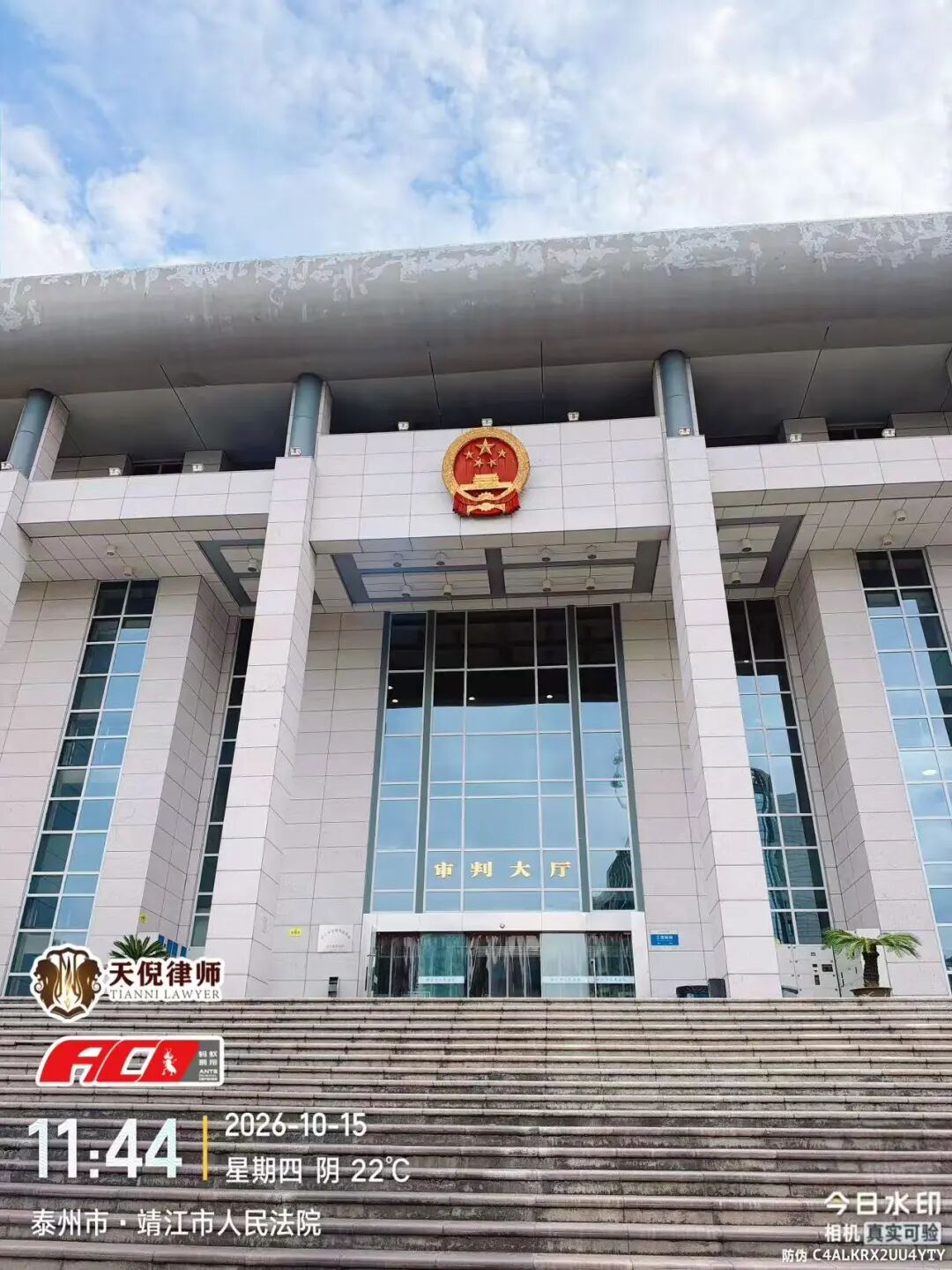 奔跑的蚂蚁 | 2026年 第三十三周：深耕证据精细打磨，跨城奔走笃行办案