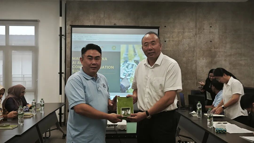 奔跑的蚂蚁｜2026年 第三十一周：深耕卷宗研判案情，奔走检法维护权益