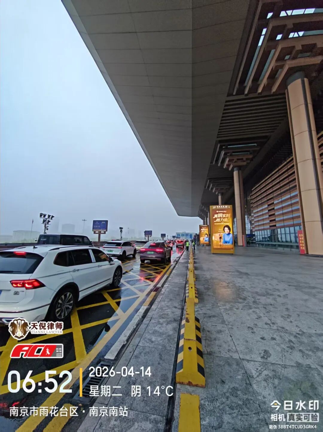 奔跑的蚂蚁｜2026年 第八周：奋进不止步，专业践初心