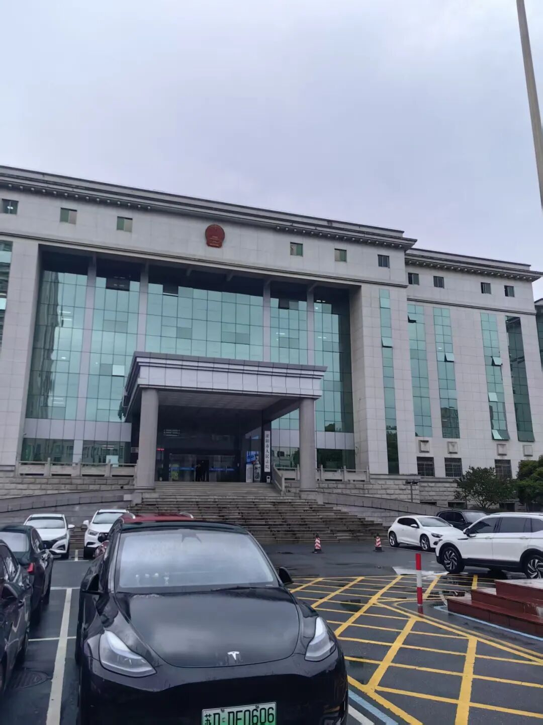 奔跑的蚂蚁｜2026年 第十周：深耕疑难案，专业启新程
