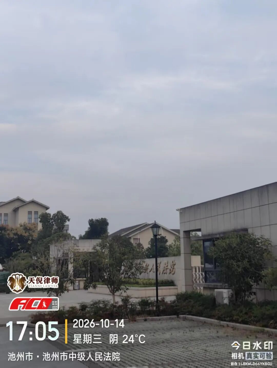 奔跑的蚂蚁 | 2026年 第三十三周：深耕证据精细打磨，跨城奔走笃行办案