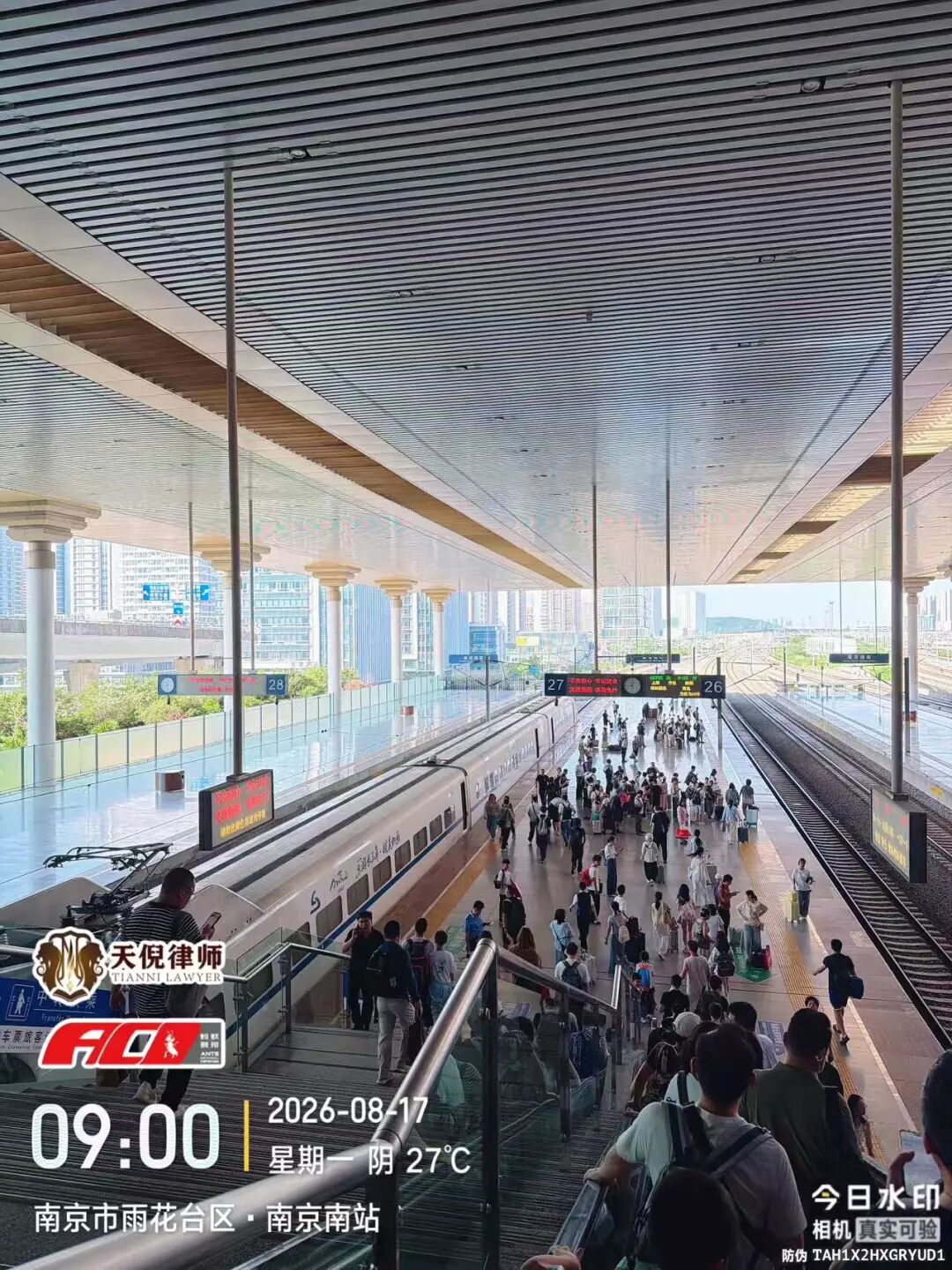 奔跑的蚂蚁｜2026年 第二十六周：深耕实务研判证据，奔赴异地恪尽职责
