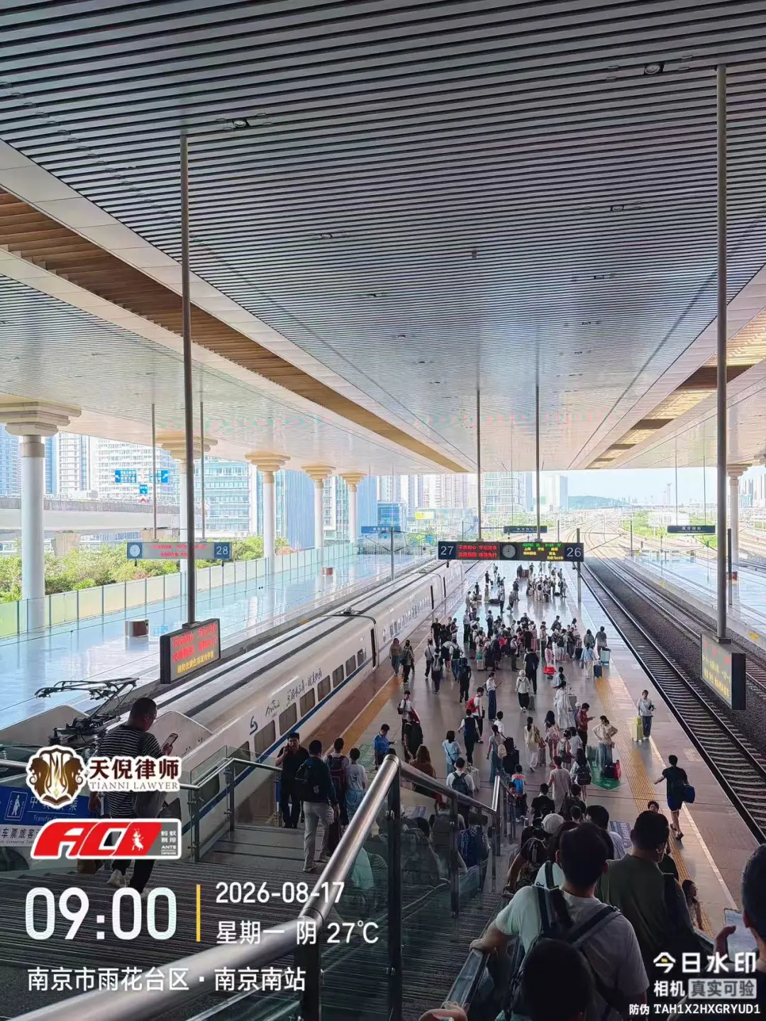 奔跑的蚂蚁|2026年 第二十六周:深耕实务研判证据,奔赴异地恪尽职责