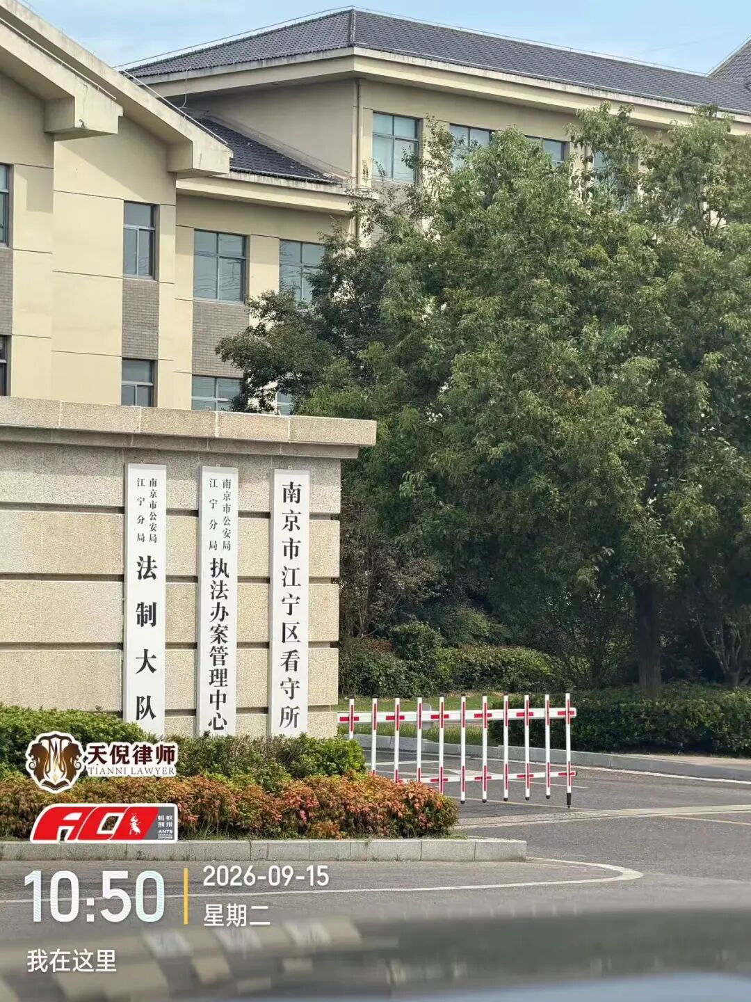 奔跑的蚂蚁 | 2026年 第三十周：奔赴多地办案磋商，精研文书打磨案件方案