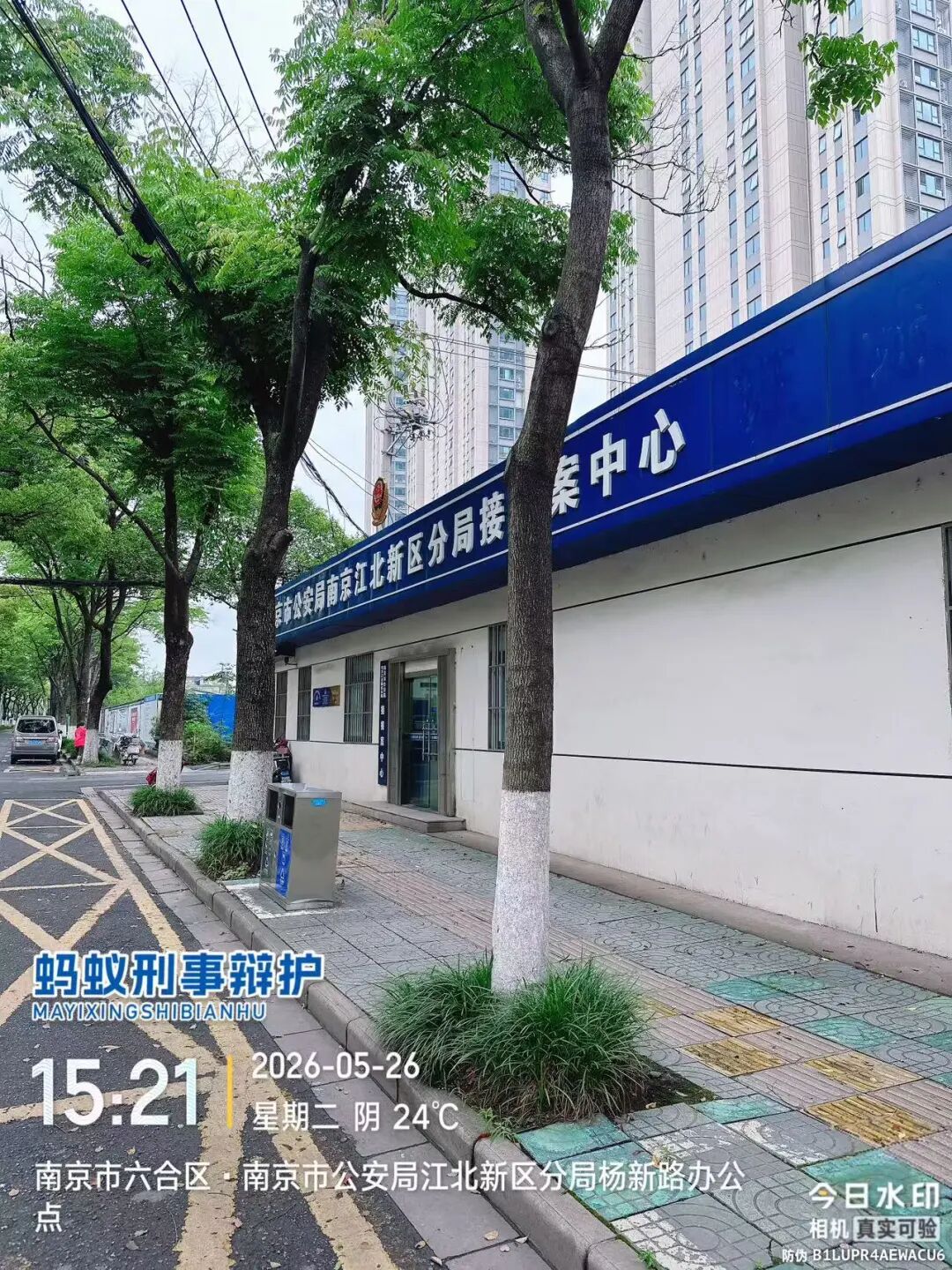奔跑的蚂蚁｜2026年 第十四周：攻坚疑难案务，笃行法治担当