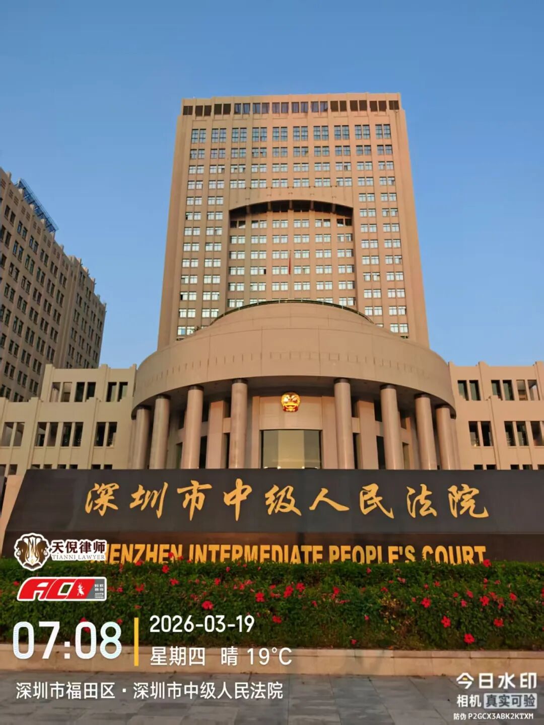 奔跑的蚂蚁｜2026年 第四周：笃行不止步，奋进启新程