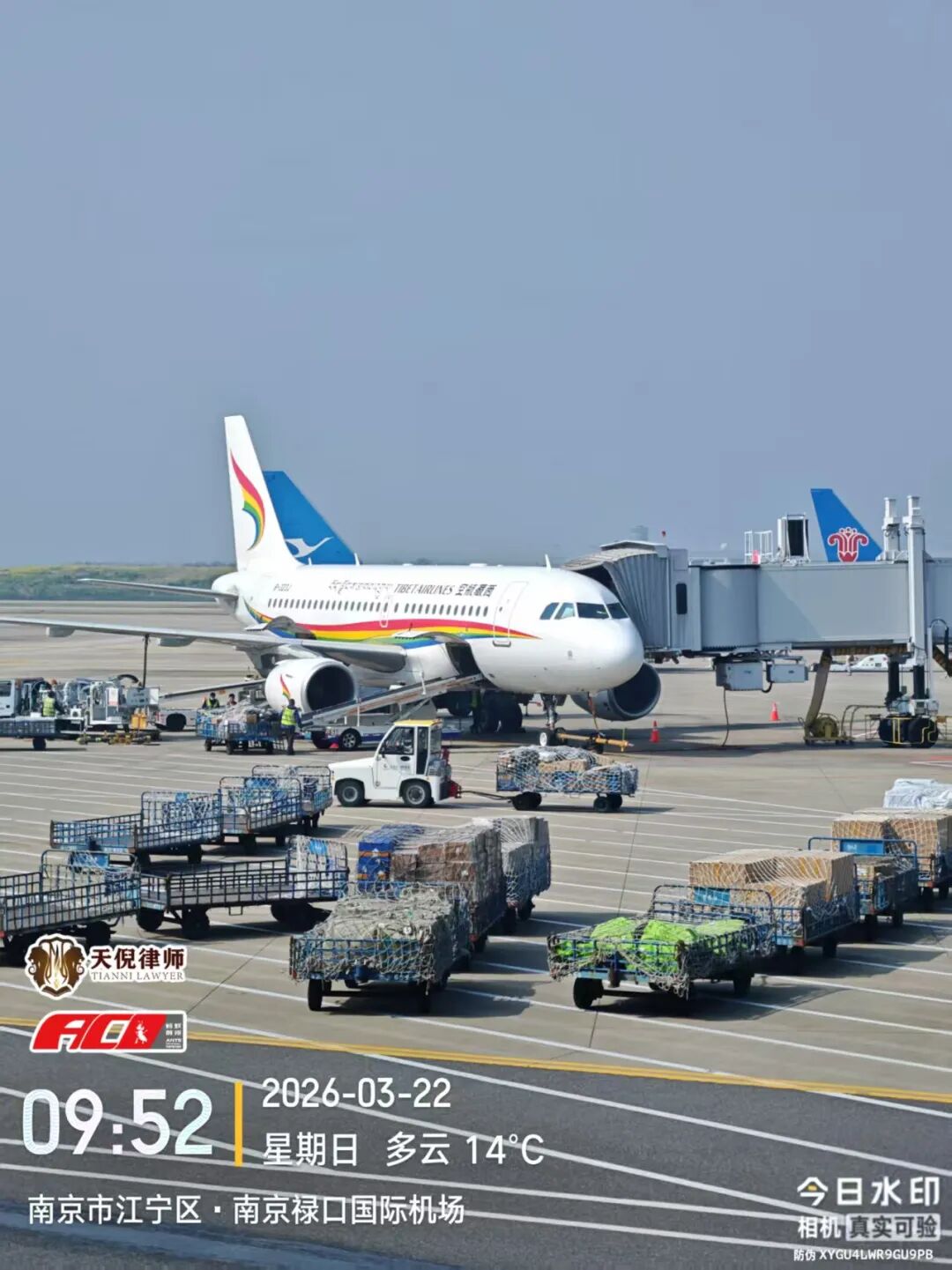 奔跑的蚂蚁｜2026年 第五周：实干赴新程，刑辩守初心