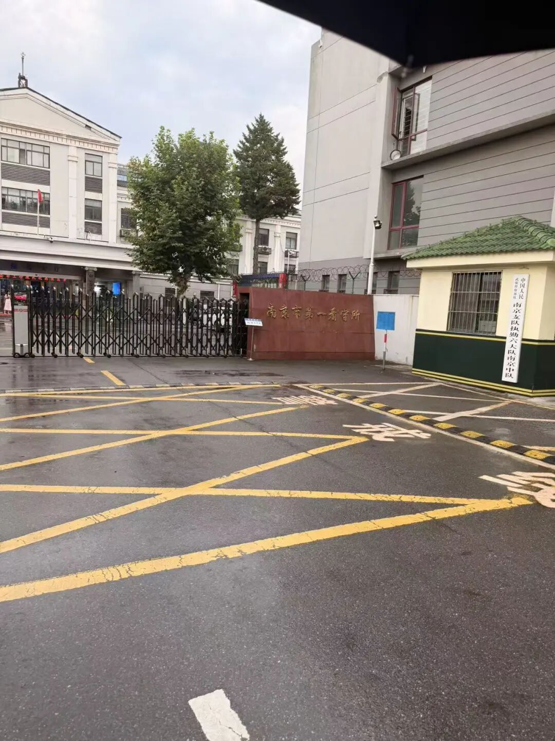 奔跑的蚂蚁｜2026年 第二十二周：研法笃行深耕实务，步履不息不负托付