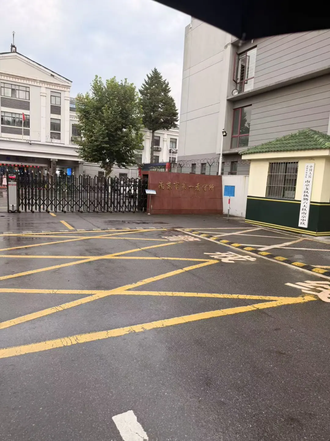 奔跑的蚂蚁|2026年 第二十二周:研法笃行深耕实务,步履不息不负托付
