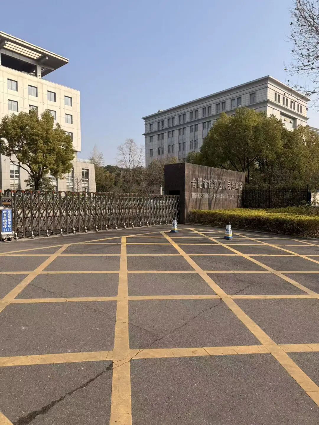 奔跑的蚂蚁｜2026年 第三周：深耕不松懈，聚力谱新章