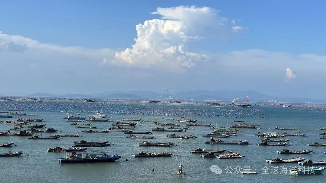 南澳岛牡蛎养殖海域