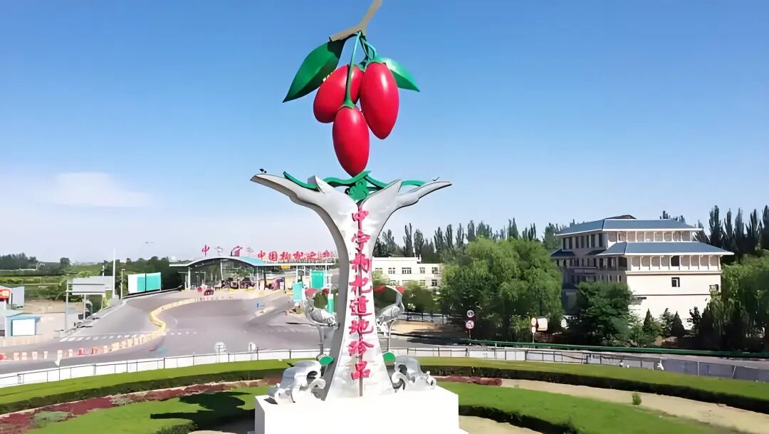 中国枸杞之乡-中宁县