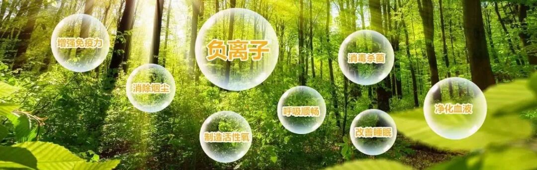 也被称为空气负离子或阴离子,是带有一个或多个负电荷的氧气分子或水