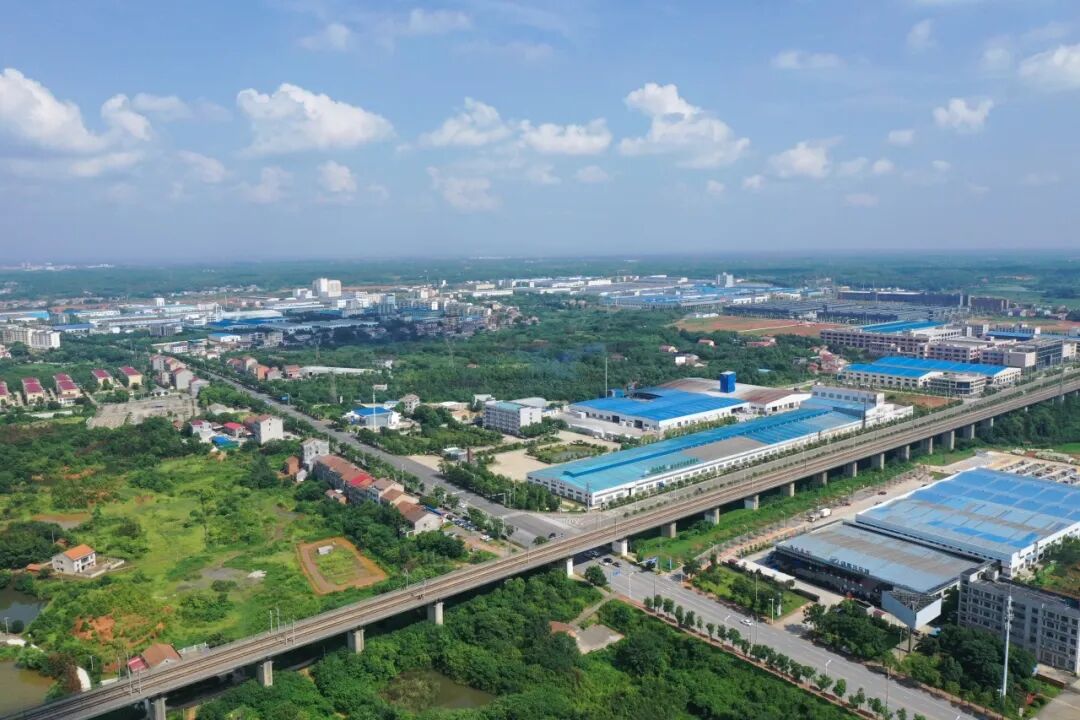 以药为翼 以稻为基 岳阳县朝着高质量发展振翅高飞