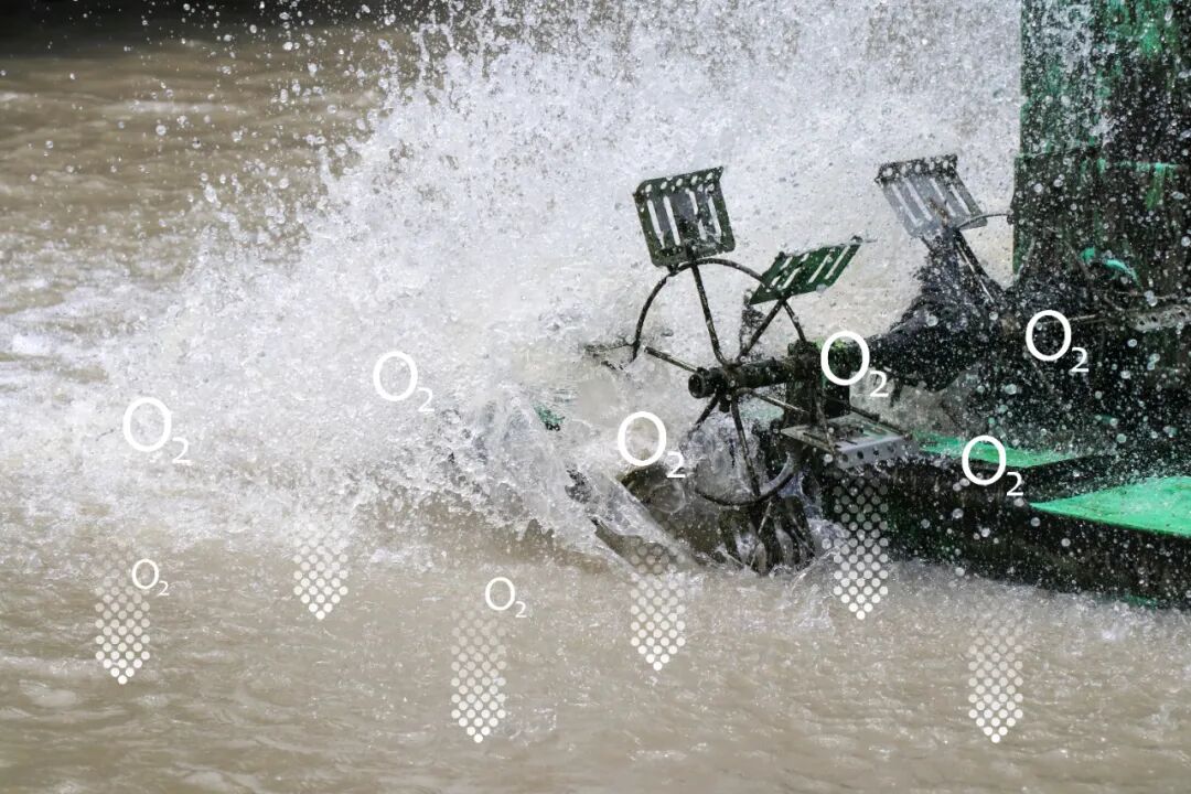 ATAGO愛拓過氧化氫在線折光濃度計