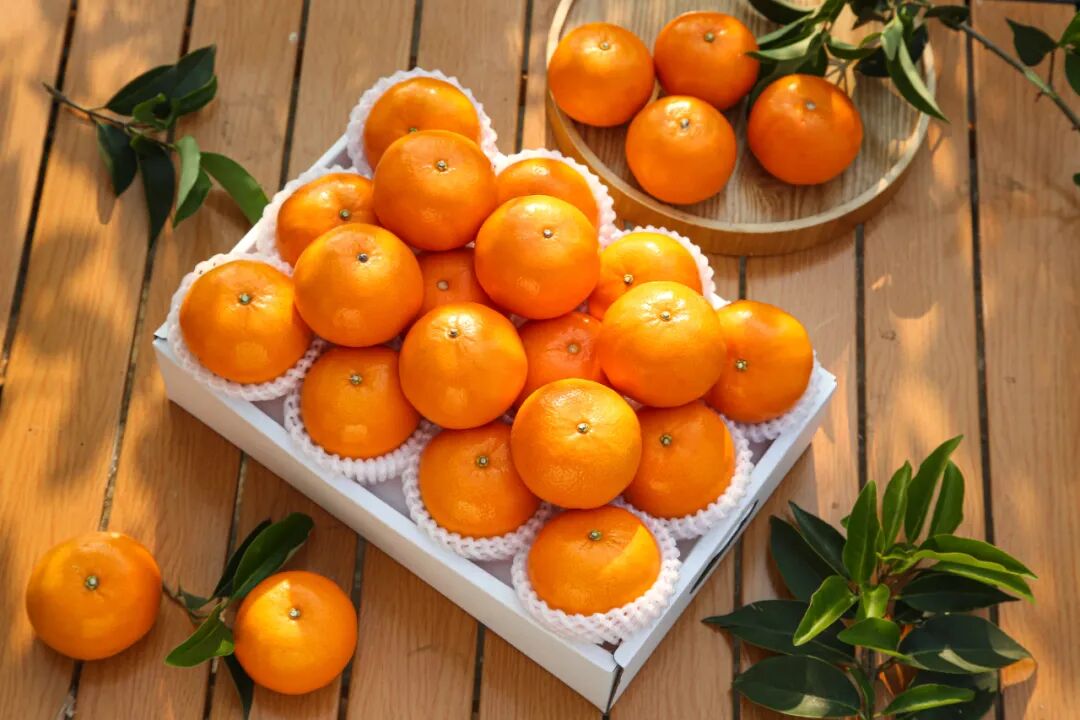 ATAGO愛拓便攜式柑橘無損糖度計