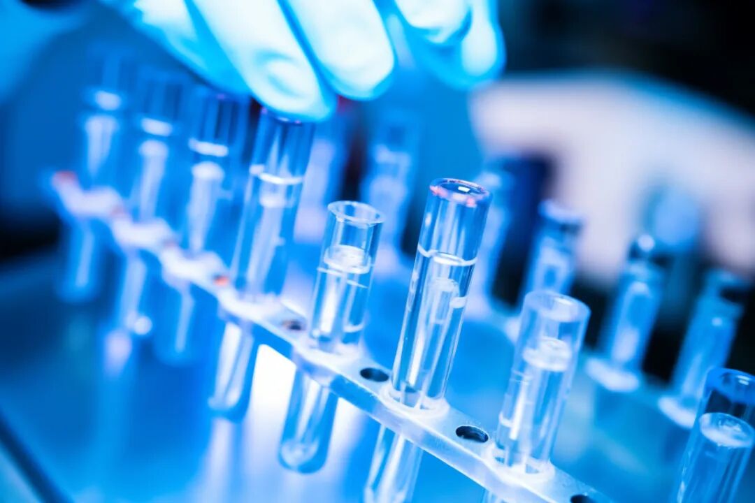 ATAGO愛拓乳清蛋白旋轉式粘度計