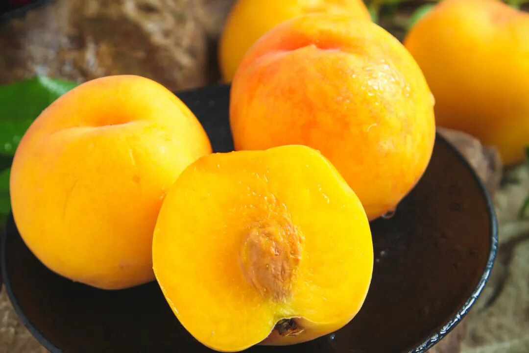 ATAGO愛拓便攜式黃桃測糖濃度計