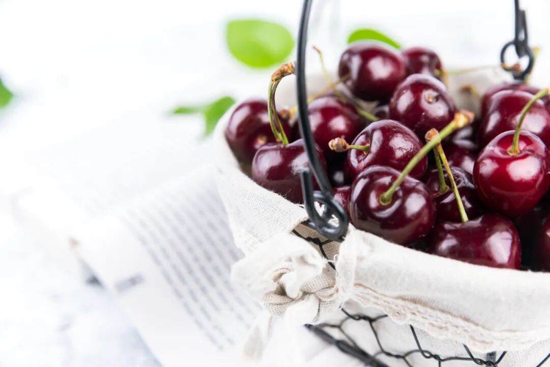 ATAGO愛拓車厘子櫻桃無損糖度計