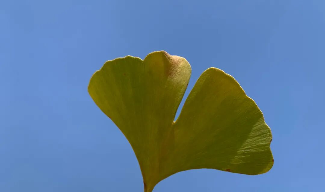 为什么kj更能刺激自己男人为什么都喜欢手淫呢 ？_https://www.jmylbn.com_新闻资讯_第3张