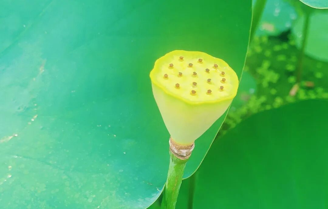 为什么kj更能刺激自己男人为什么都喜欢手淫呢 ？_https://www.jmylbn.com_新闻资讯_第2张