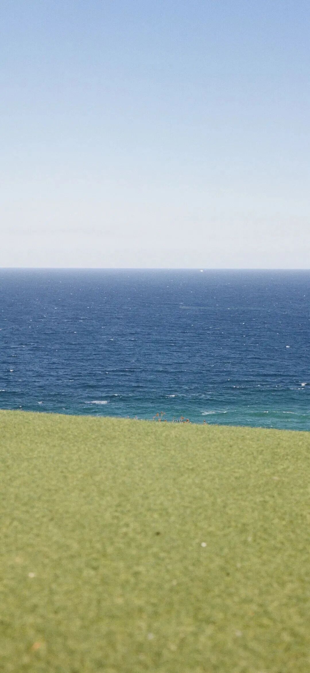 风景