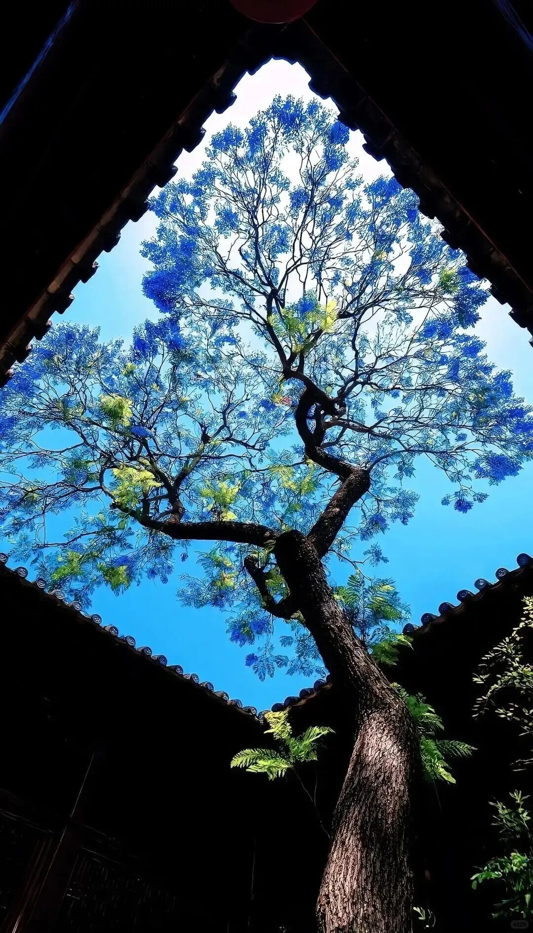 风景