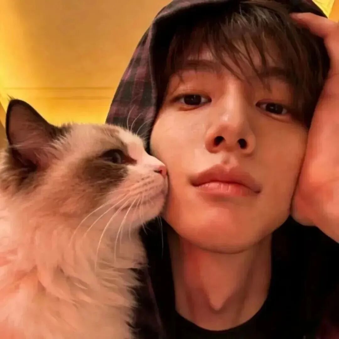 抱着猫咪小众男生头像