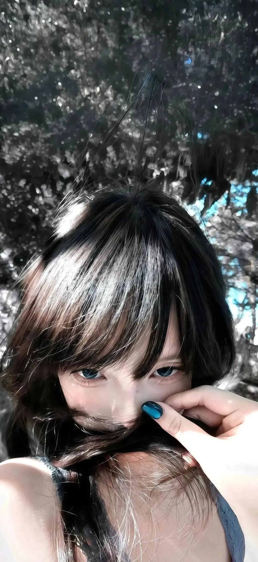 抖音热门