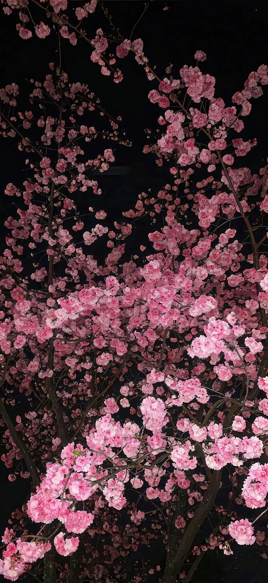 风景