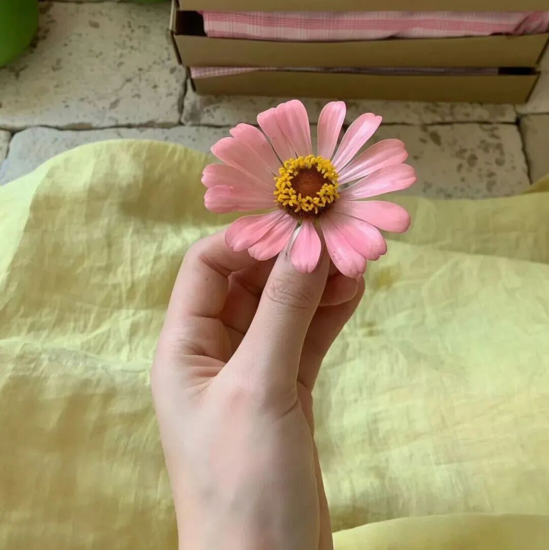 鲜花粉色朋友圈背景图