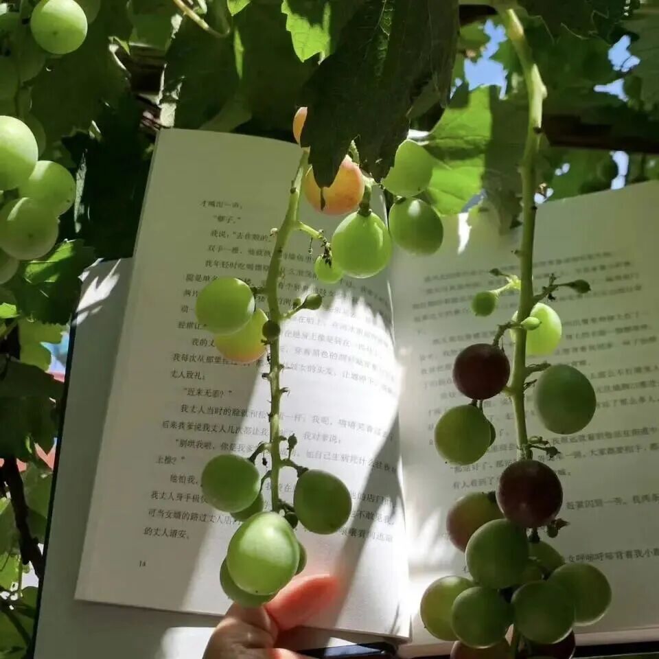 深绿色小清新背景图